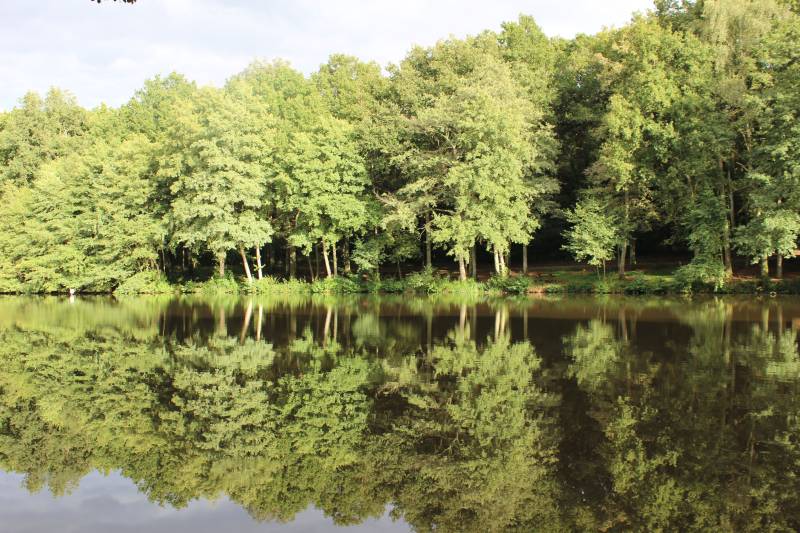 Randonnée : Base VTT Berry Loire Puisaye - Circuit n°2 "Trousse-Bois"