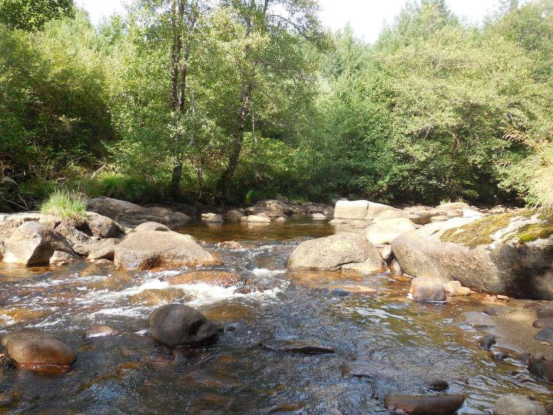 Randonnée : Le Bois de Chaleix