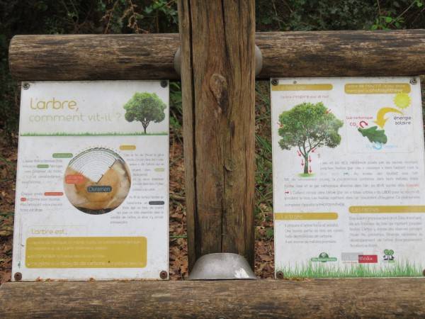 Randonnée : Balade à roulettes : La forêt du Taillan 2 - Impraticable