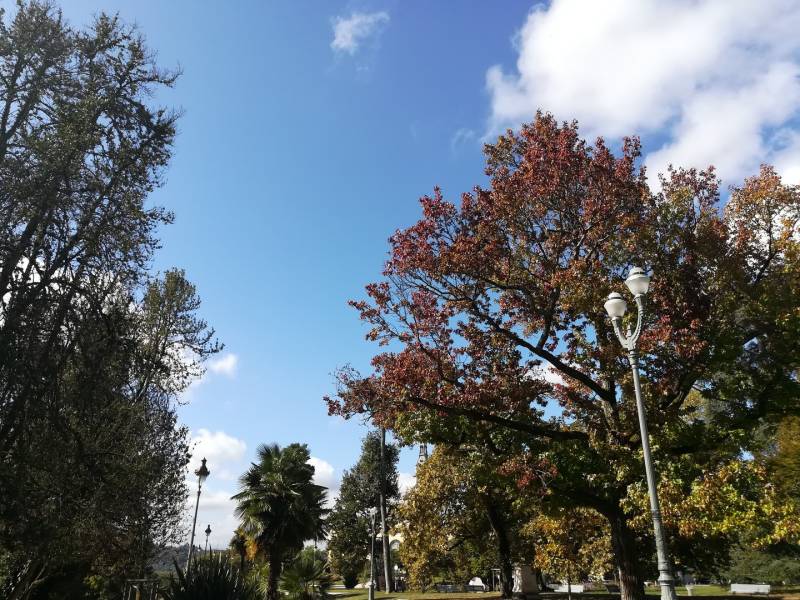 Randonnée : Balade à roulettes N°24 - Promenade au parc Beaumont à Pau
