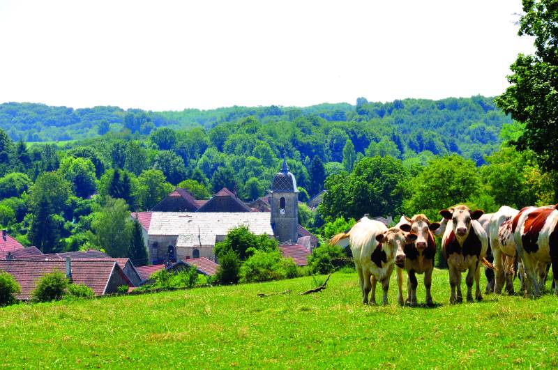 Randonnée : Le Mont du Chanois 10 km