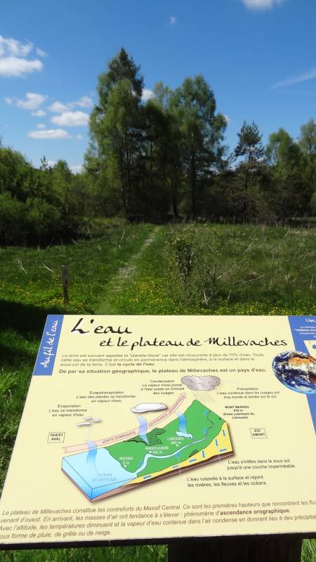 Randonnée : Les Sources de la Creuse - 1 km