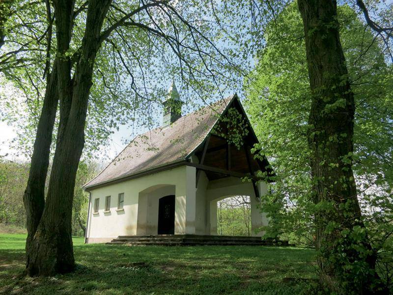 Randonnée : Circuit de la Chapelle à Didenheim