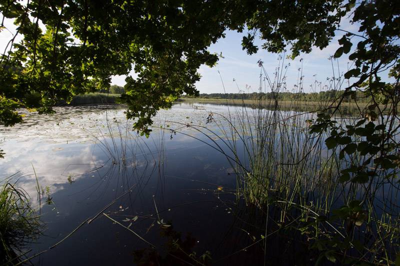 Randonnée : Balade à pied n°57 - Chemins de sable en Brenne