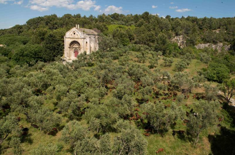 Randonnée : TARASCON - La Routo : autour de Saint-Gabriel