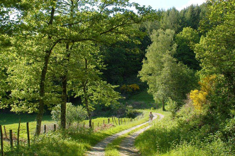 Randonnée : Sentier des étangs