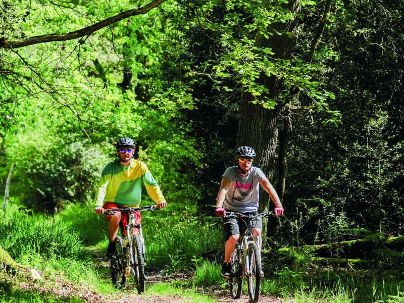 Randonnée : De Sauvagnon à la forêt de Bastard à VTT
