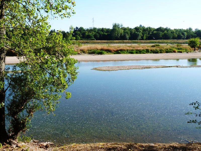 Randonnée : Le tour du Bois de l'Ile