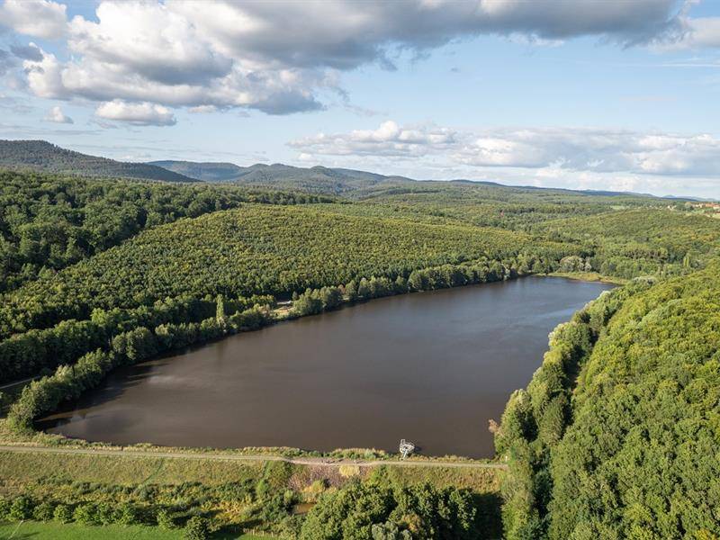 Randonnée : Promenade autour du plan d'eau de Reichshoffen