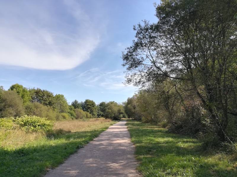 Randonnée : Sentier des Biards