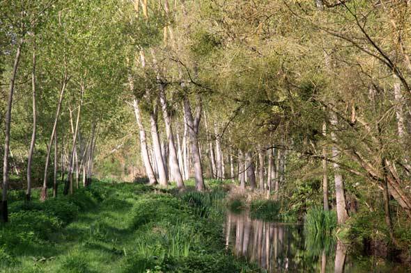 Randonnée : Sentier des côteaux