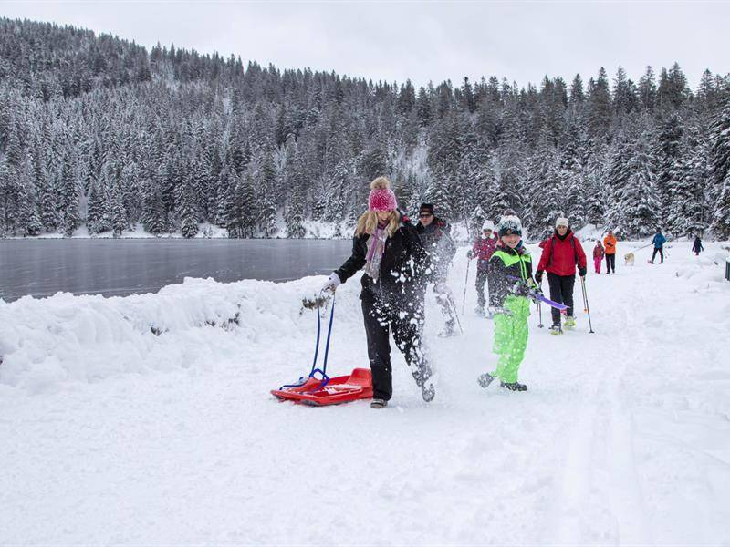 Randonnée : Balade en raquettes au Tanet : Circuit 3 Boucle du Schupferen