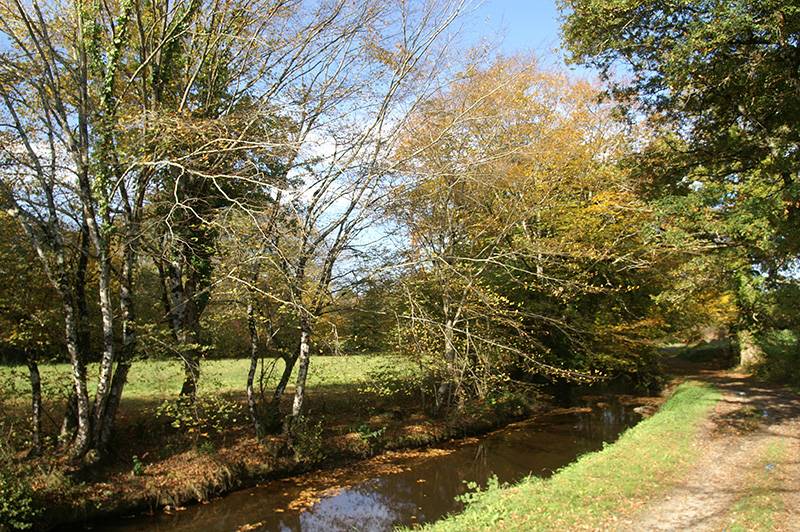 Randonnée : Balade à pied à Beaulieu - En suivant le Bel Rio