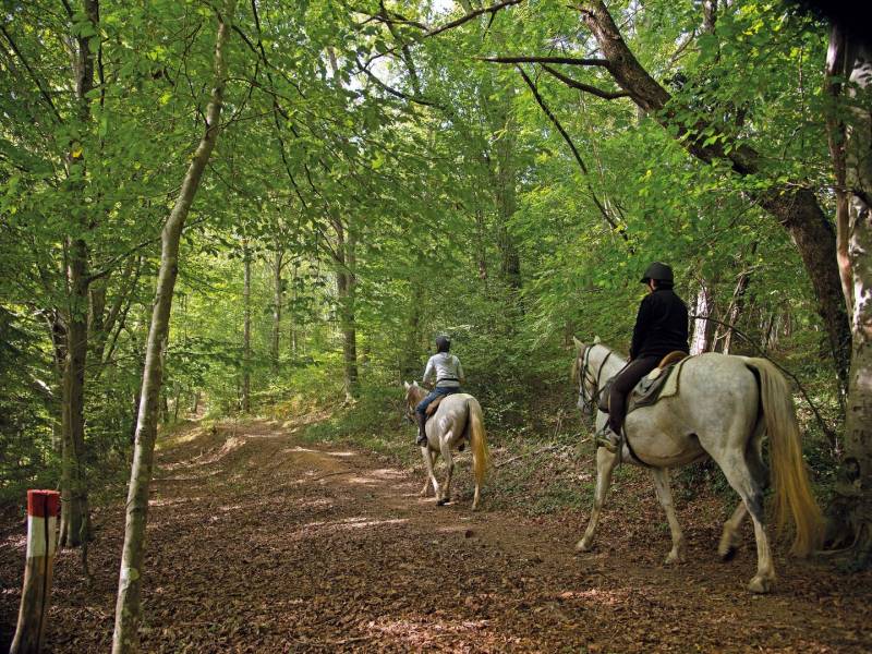 Randonnée : Lembeye : la vallée du Vic-Bilh à cheval