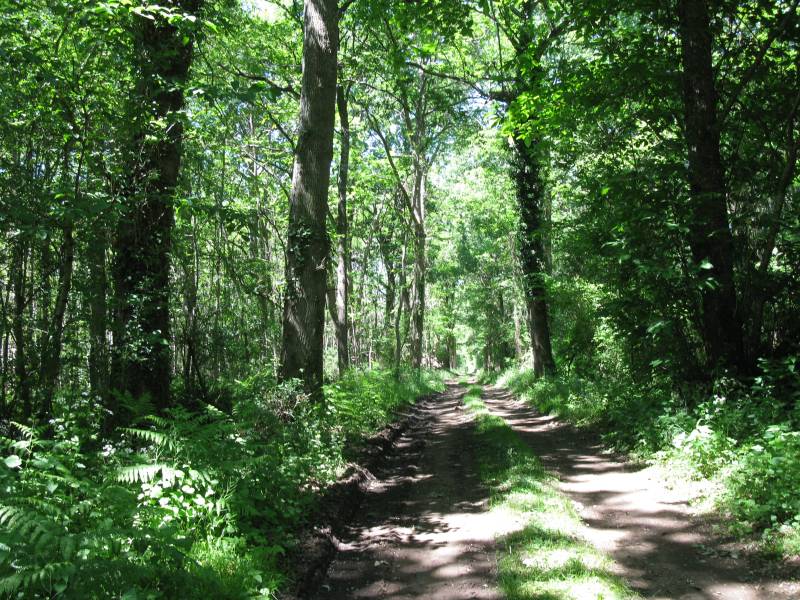 Randonnée : Le Sentier du Pigeonnier - Circuit n°49
