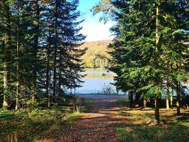 Randonnée : Sentier des Lacs de Contrexéville au Parc de Vittel - 6 km