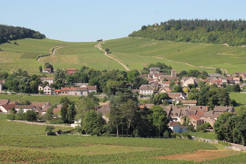 Randonnée : Les sentiers thématiques de Mercurey