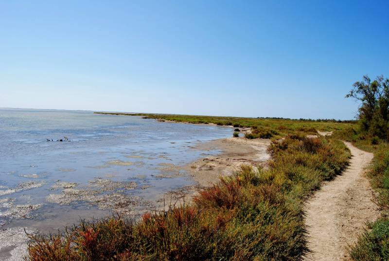 Randonnée : SAINTES- MARIES-DE-LA-MER - Entre les deux bras du Rhône