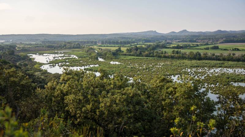 Randonnée : FONTVIELLE - Des Alpilles à la Camargue à vélo
