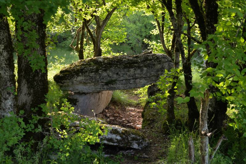 Randonnée : Les Dolmens de Limogne-en-Quercy
