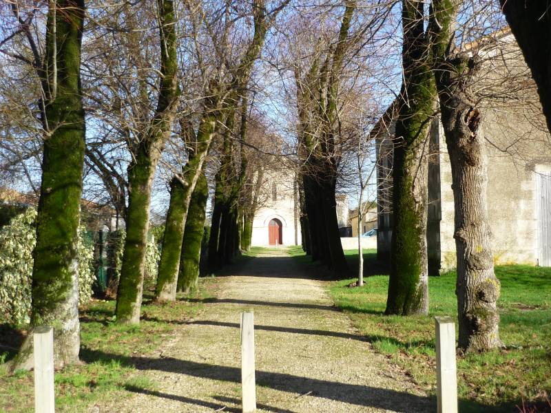 Randonnée : Entre marais et forêt : la commune de Fors