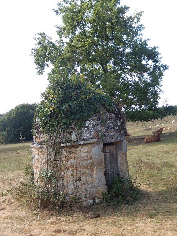 Randonnée : Boucle des Coteaux - Lanquais