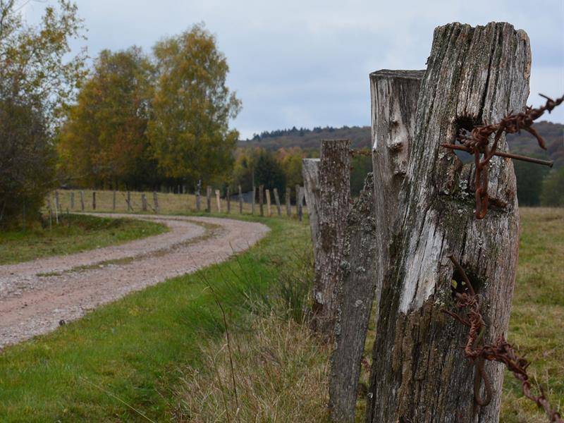 Randonnée : Circuit le Rechentreux XT n°3