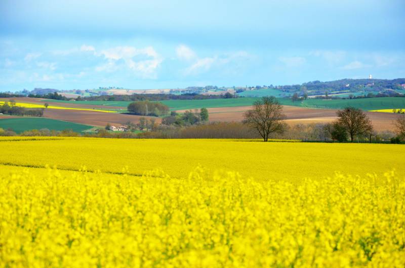 Randonnée : La Scandibérique en Nouvelle-Aquitaine