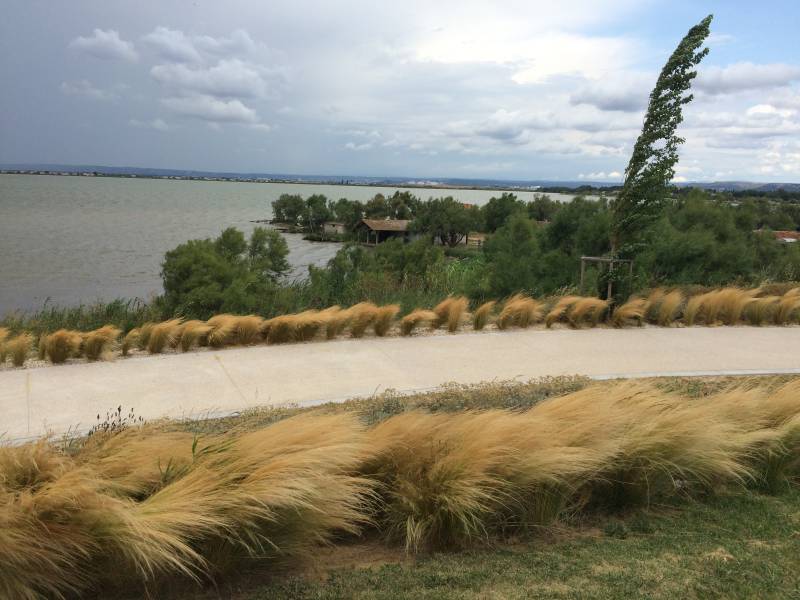 Randonnée : Bouches-du-Rhône en Paysages - Marignane, au fil de l'eau