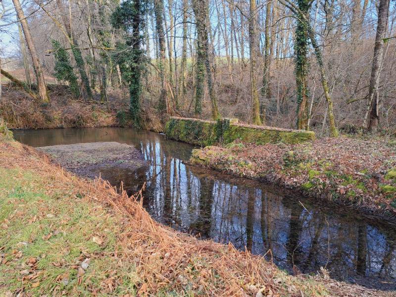 Randonnée : La Siauve