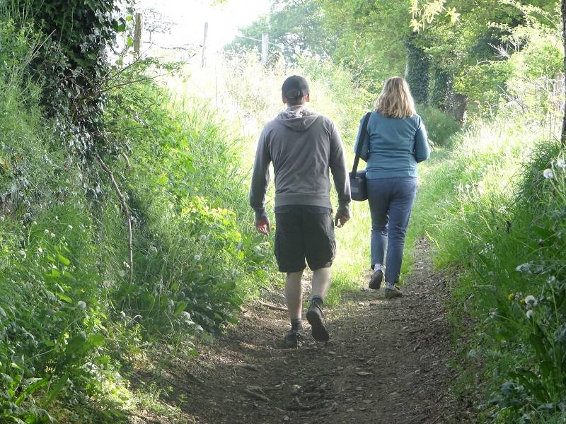 Randonnée : Promenade à Lénault