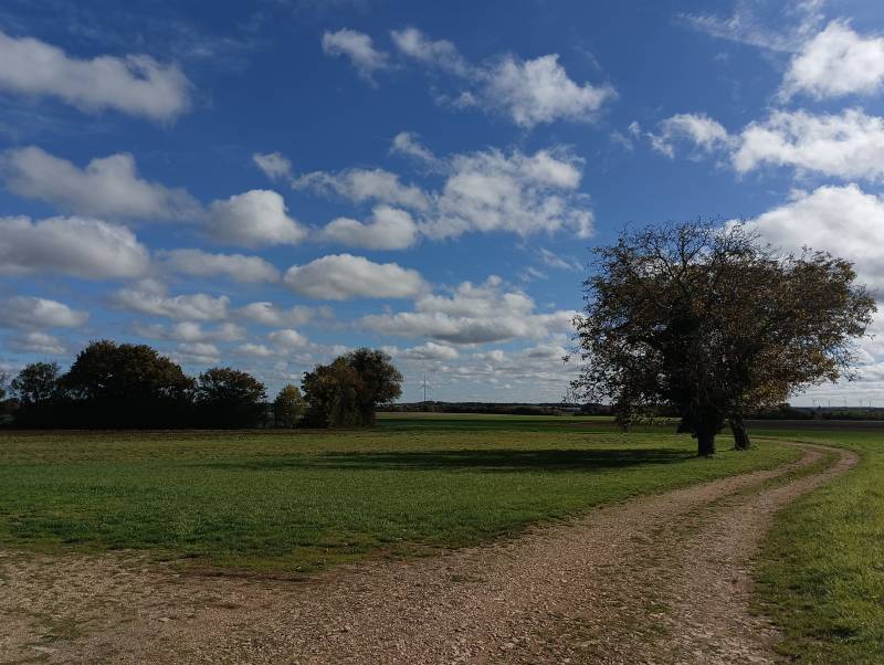 Randonnée : Circuit des Marzelles