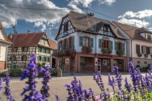 Randonnée : Promenade découverte de Morsbronn-les-Bains