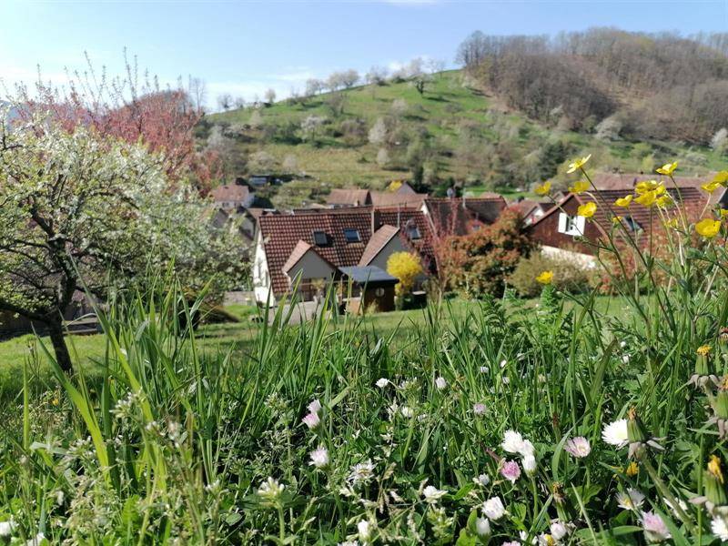 Randonnée : Chemin du Patrimoine "Le verre est dans le fruit"