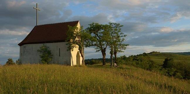 Randonnée : Sentier vignoble et collines sèches (Bollenberg)
