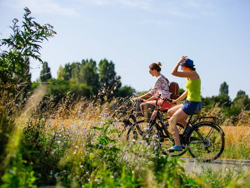 Randonnée : Piste cyclable Bazas - Mios