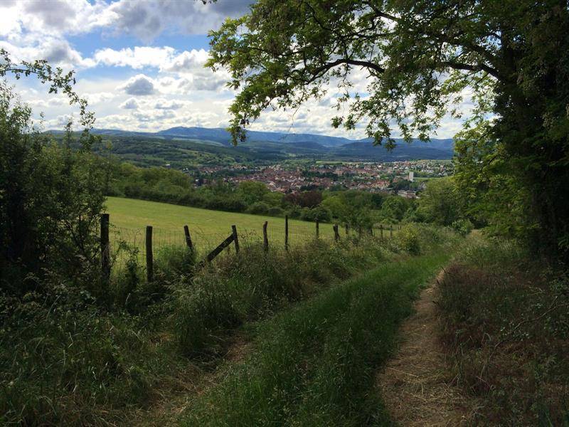 Randonnée : Circuit de la Sommerau - Marche nordique