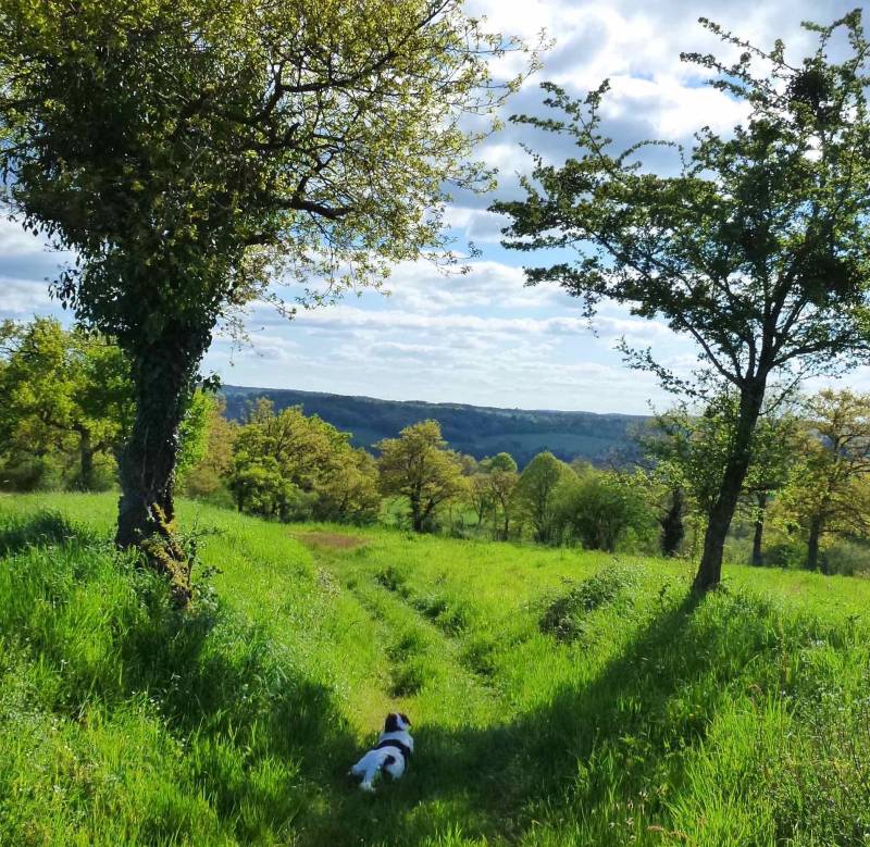 Randonnée : Balade de Victurnien
