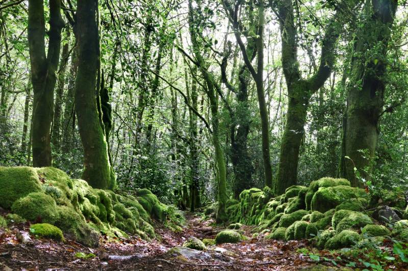 Randonnée : La balade du Grand murin