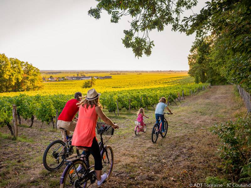 Randonnée : Grands crus et belles demeures - Circuit vélo n°23