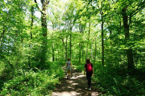 Randonnée : Sentier du bois du Malaumont
