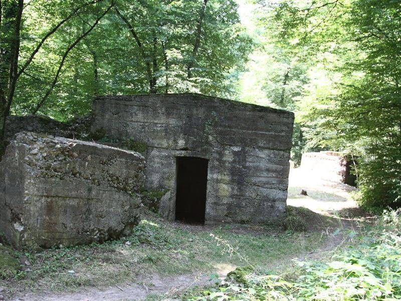 Randonnée : Sentier des Bunkers