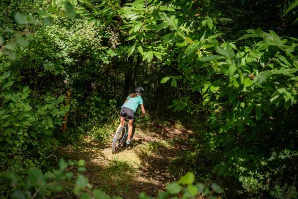 Randonnée : N°19 VTT - À fond les vallons !