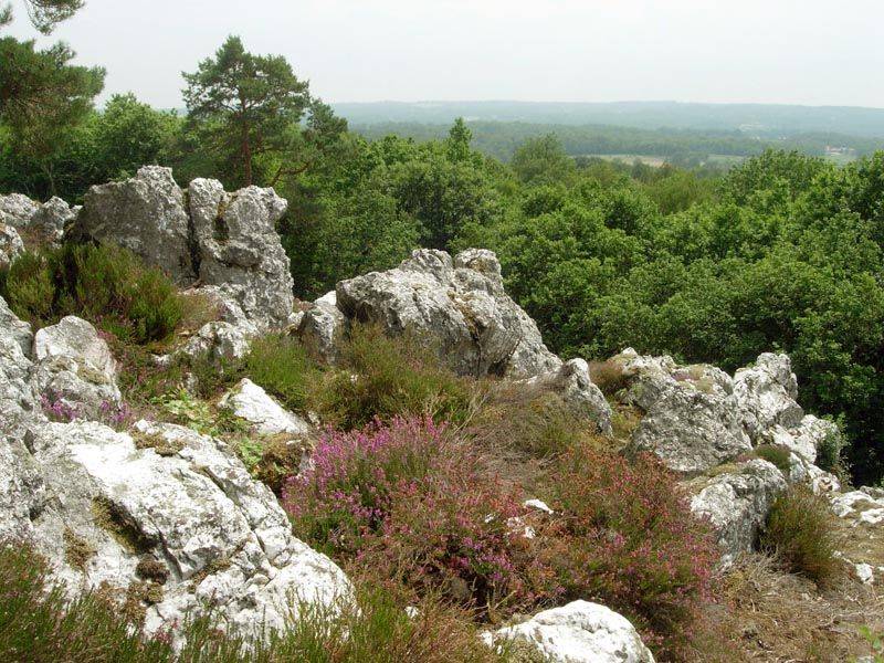Randonnée : Circuit de la lande de Frochet