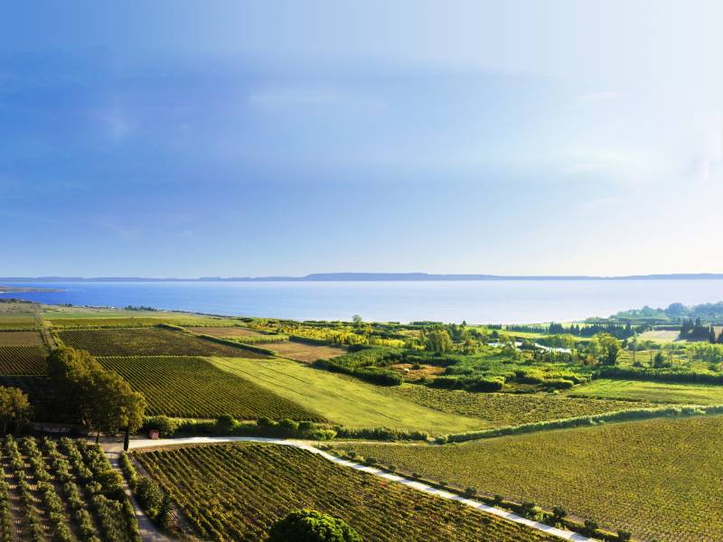 Randonnée : Le vignoble de l'Etang, un vignoble des contrastes