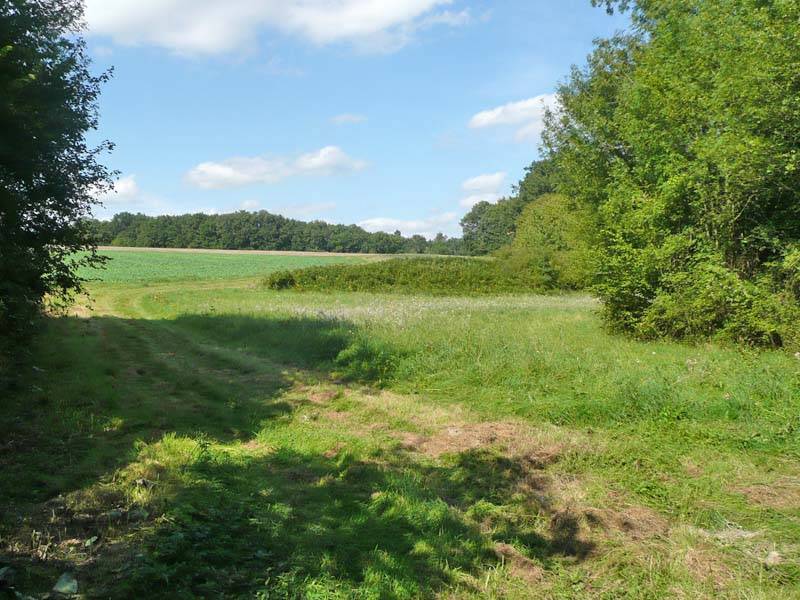 Randonnée : Sur les terres de la Pieta de Nouans