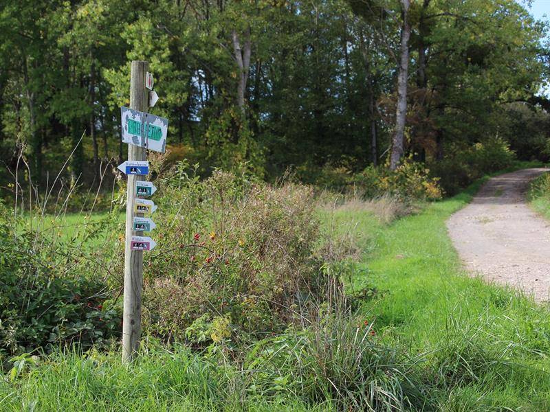 Randonnée : Balades et randonnées à Vathiménil - la corvée