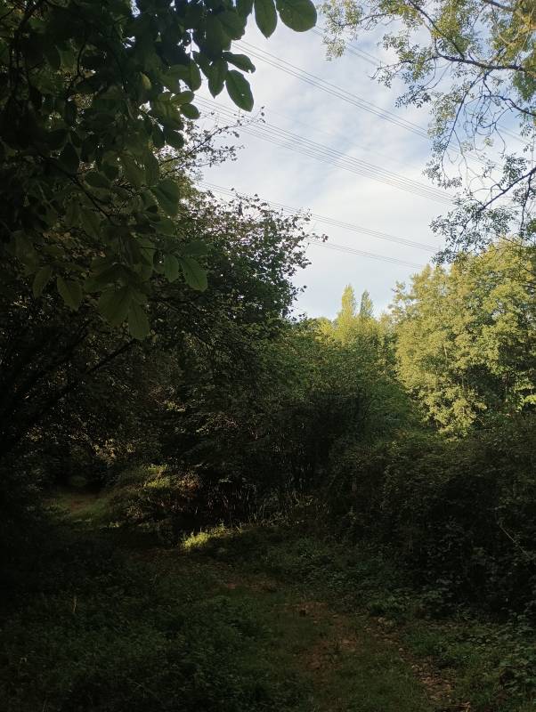 Randonnée : Le Bélier de la Banissière - parking pêcheur, base de Loisirs du Lambon