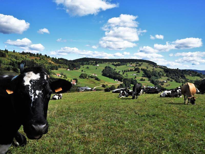 Randonnée : Autour du pechin : la boucle des 3 cols