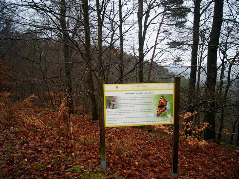 Randonnée : Sentier du GORNA